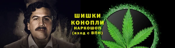 ПСИЛОЦИБИНОВЫЕ ГРИБЫ Балабаново