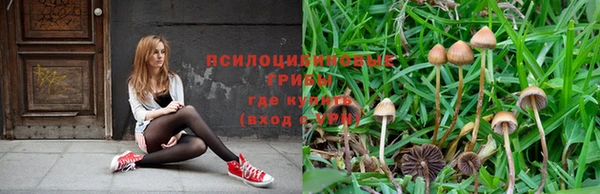 дживик Балахна